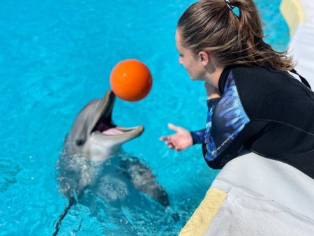 Zájezd do Marinelandu