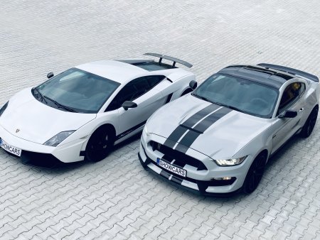 Lamborghini vs Mustang