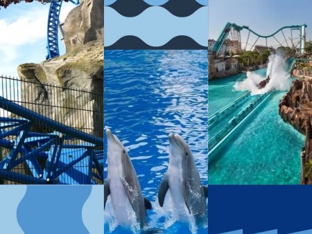 Zážitkové zajezdy